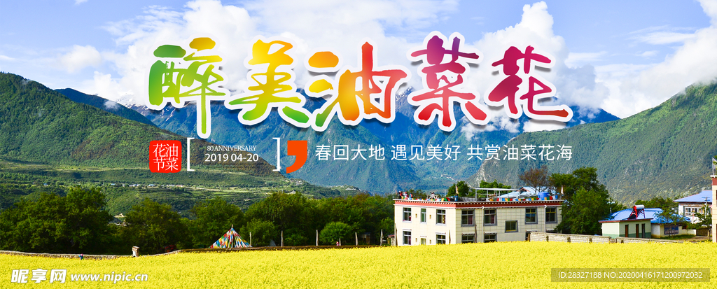 油菜花