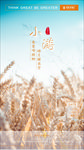 小满节气海报
