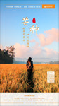 芒种节气海报