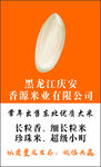 大米粮食名片