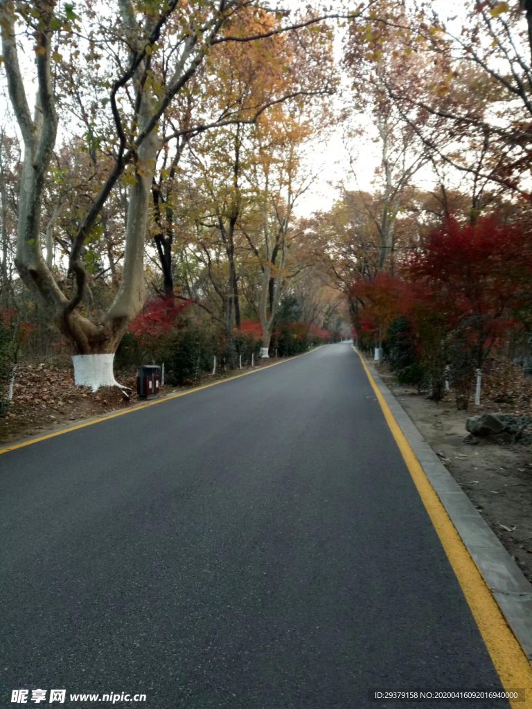 枫林路