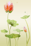 小清新荷花玄关画