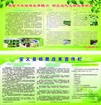殡葬改革宣传栏