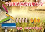 粗粮 杂粮 五谷杂粮 粳米 小