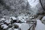 海螺沟雪山冰川