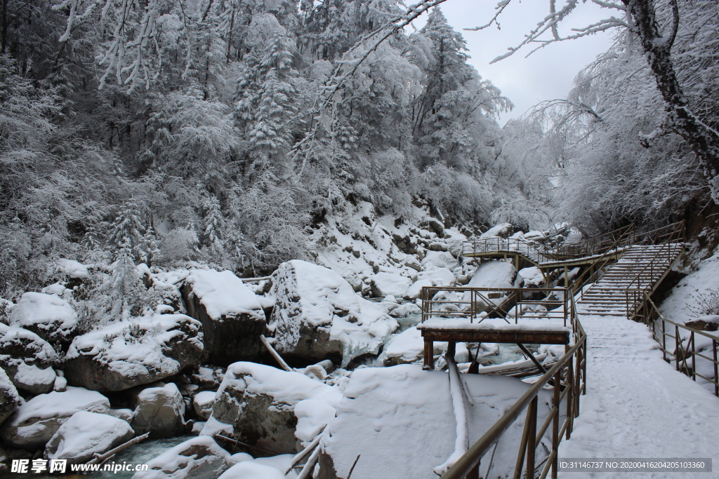 海螺沟雪山冰川