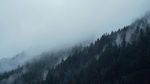 山雾
