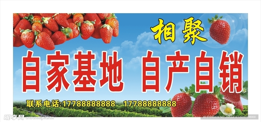草莓园　草莓