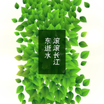 绿叶背景
