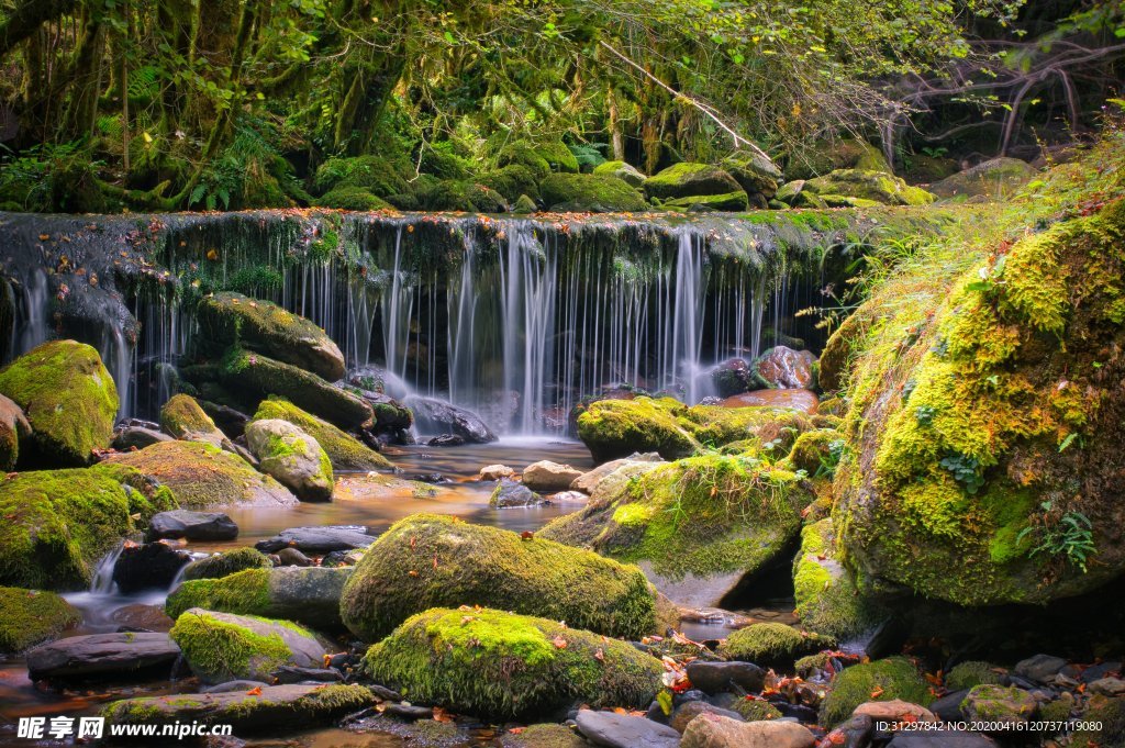 林间青苔和溪水