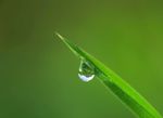 雨水