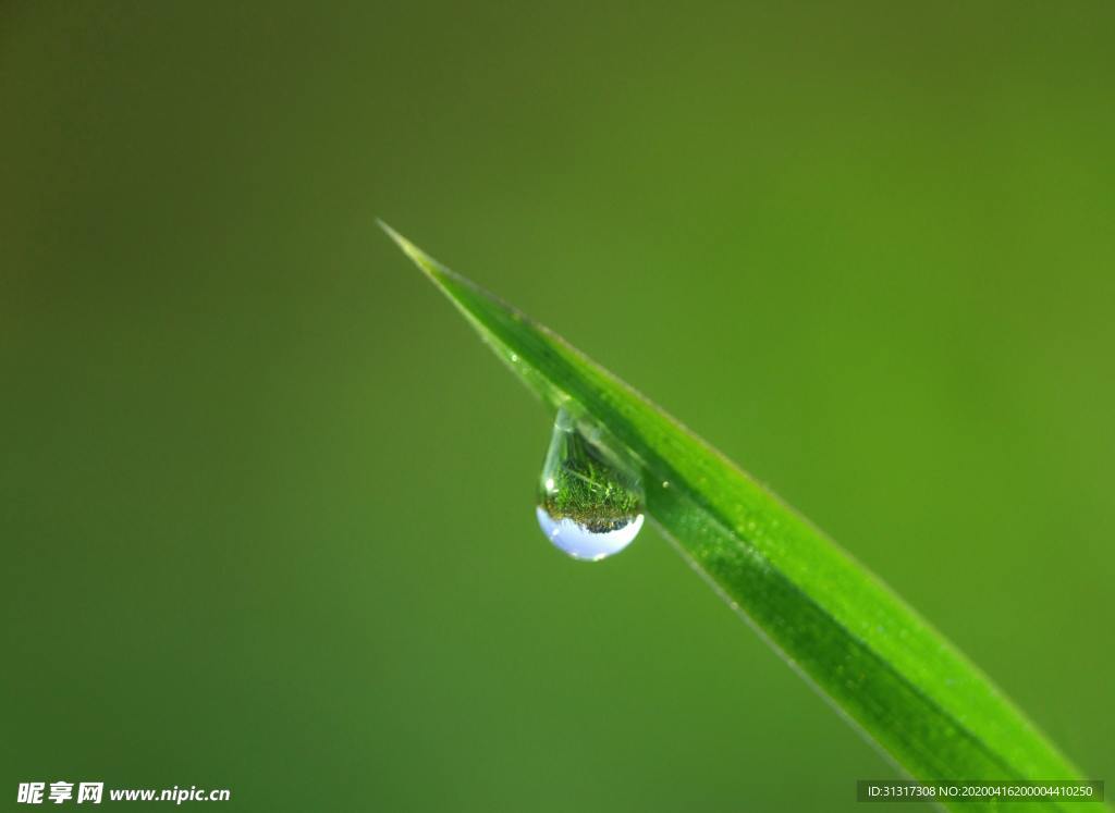 雨水