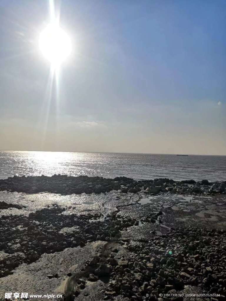 大海
