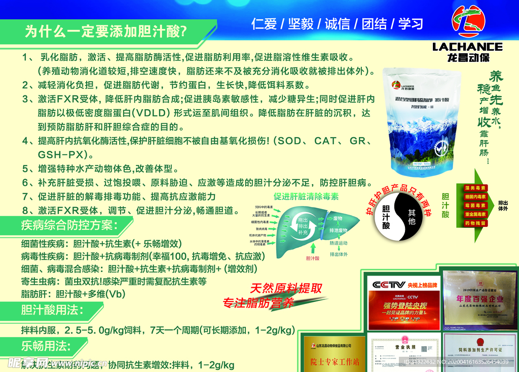 胆汁酸