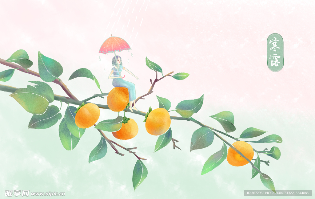 寒露节气插画