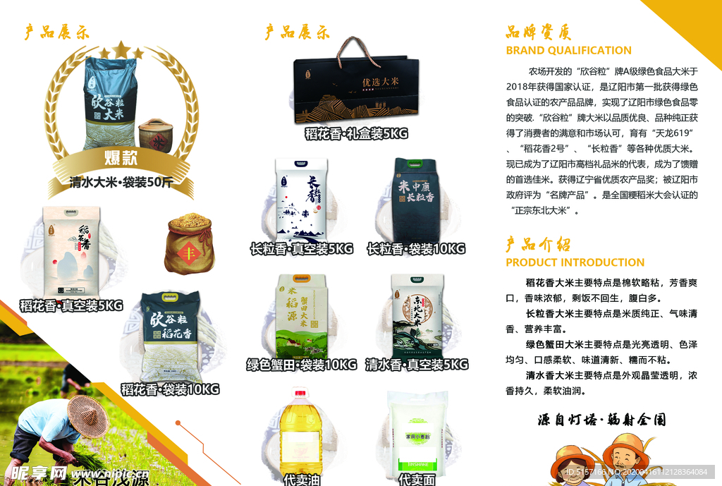 传单