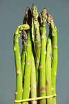 蔬菜
