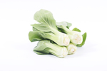 蔬菜
