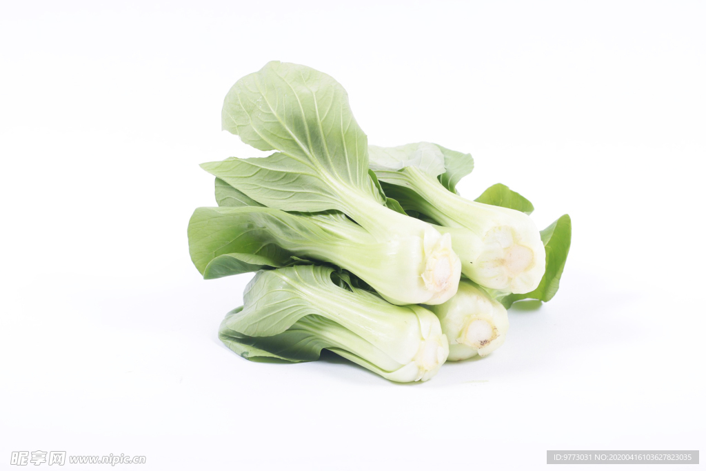蔬菜