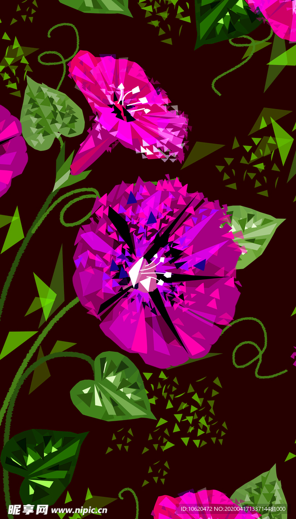 牵牛花
