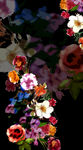 鲜花