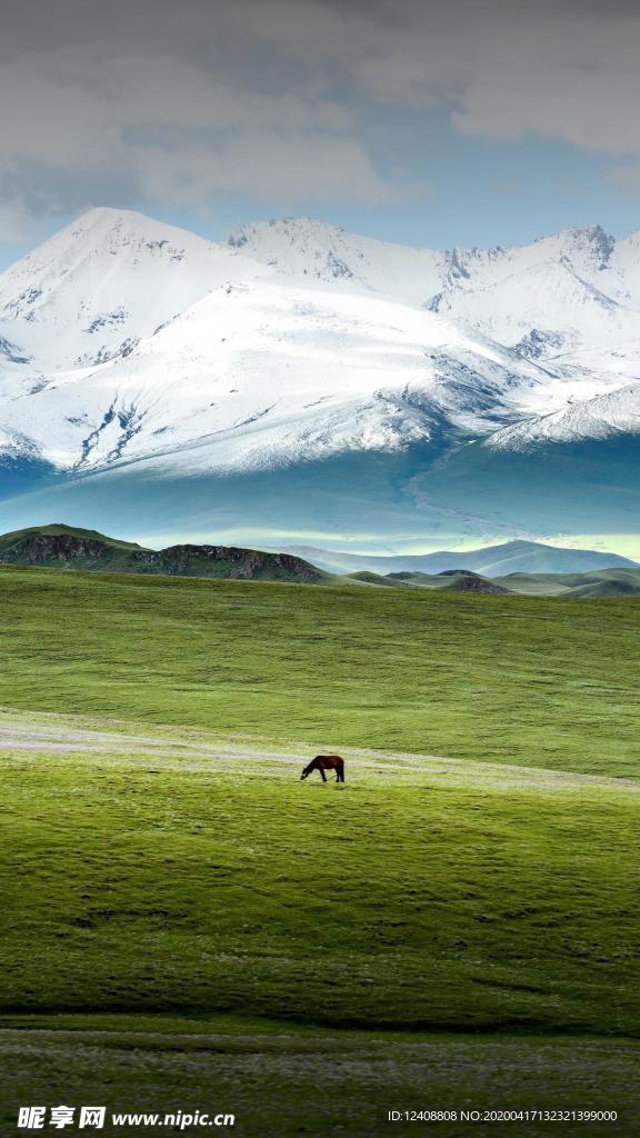 风景