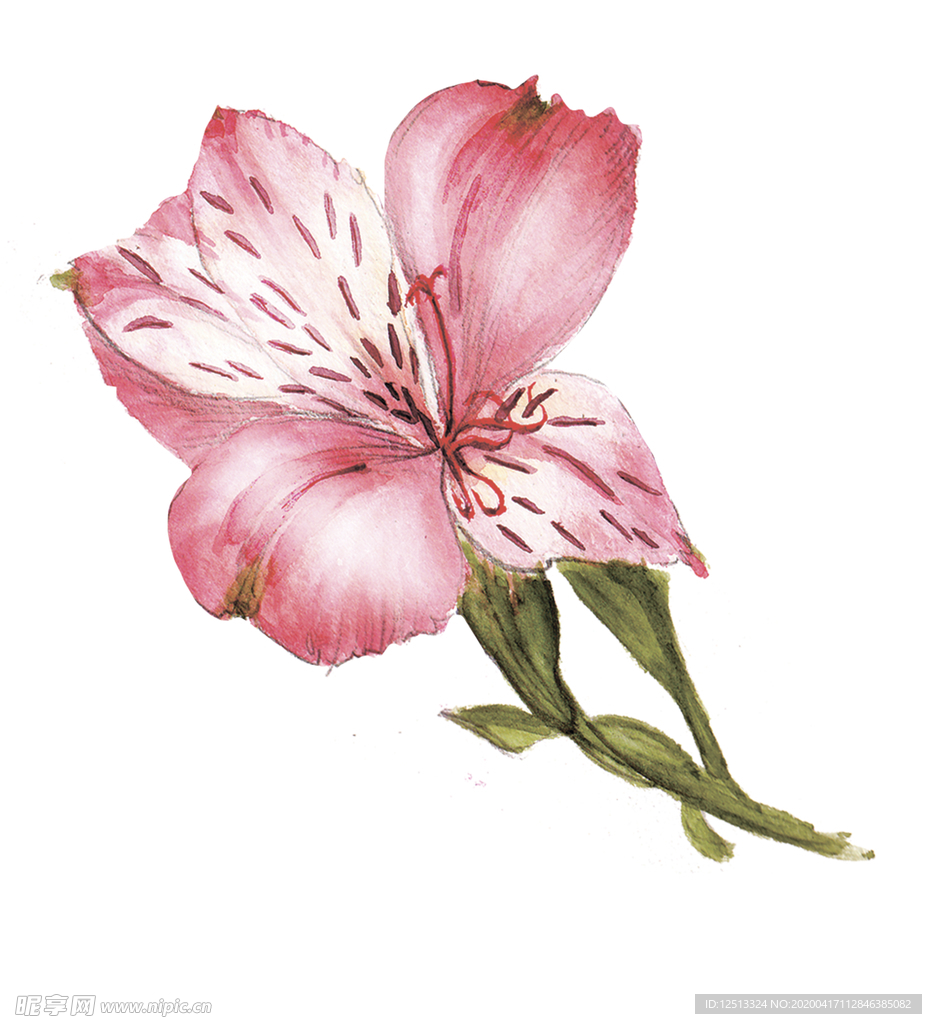 花