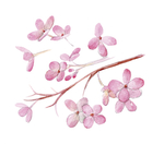 花