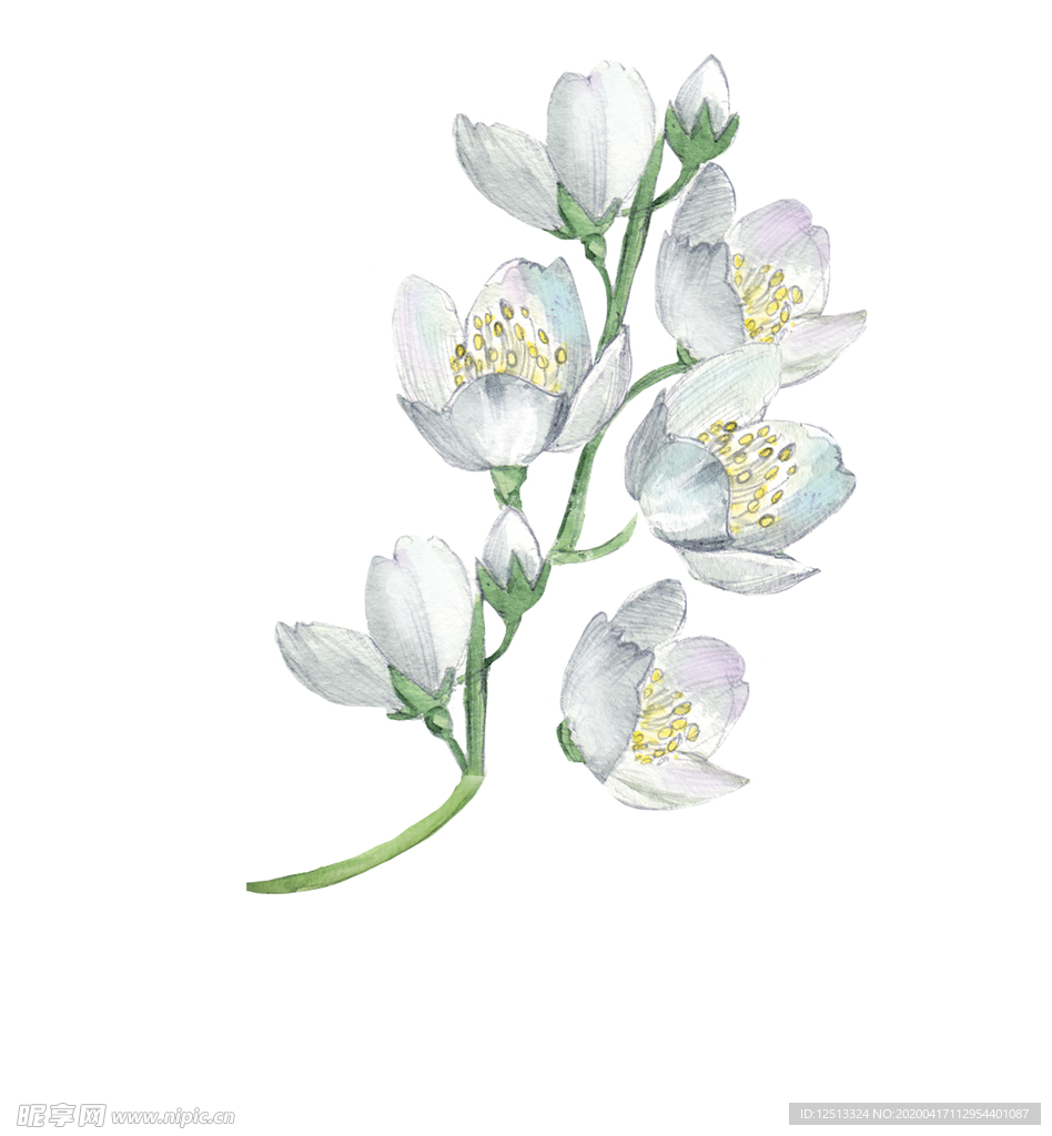 花