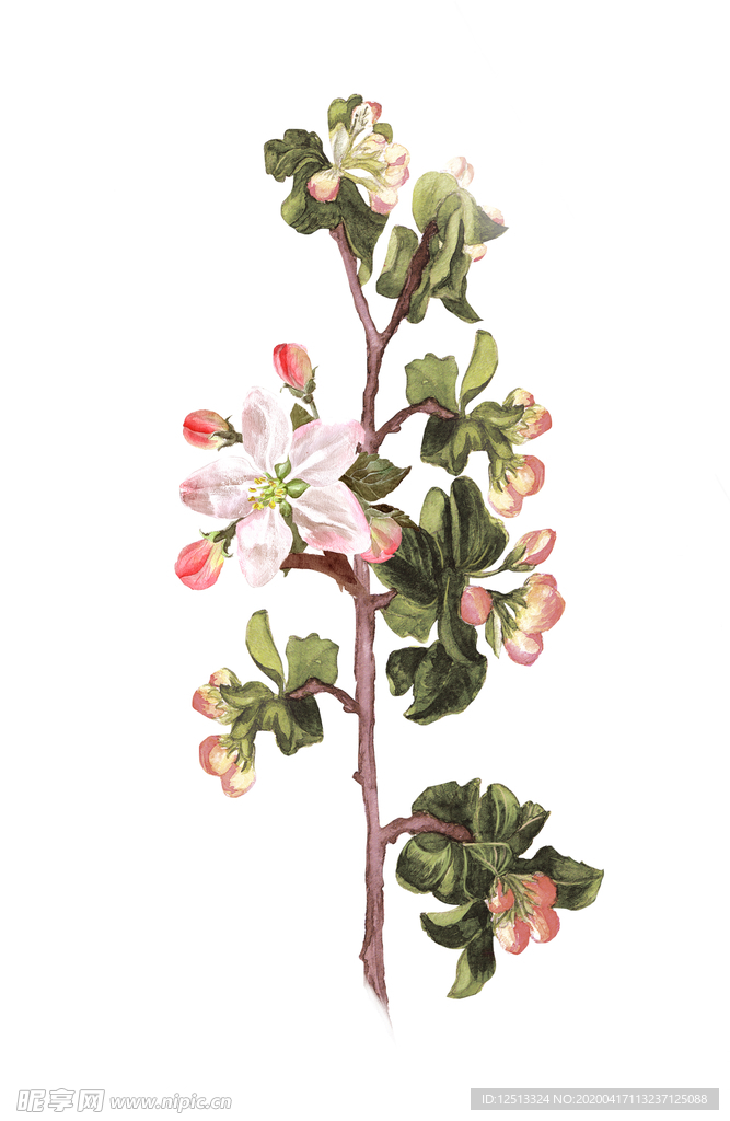花