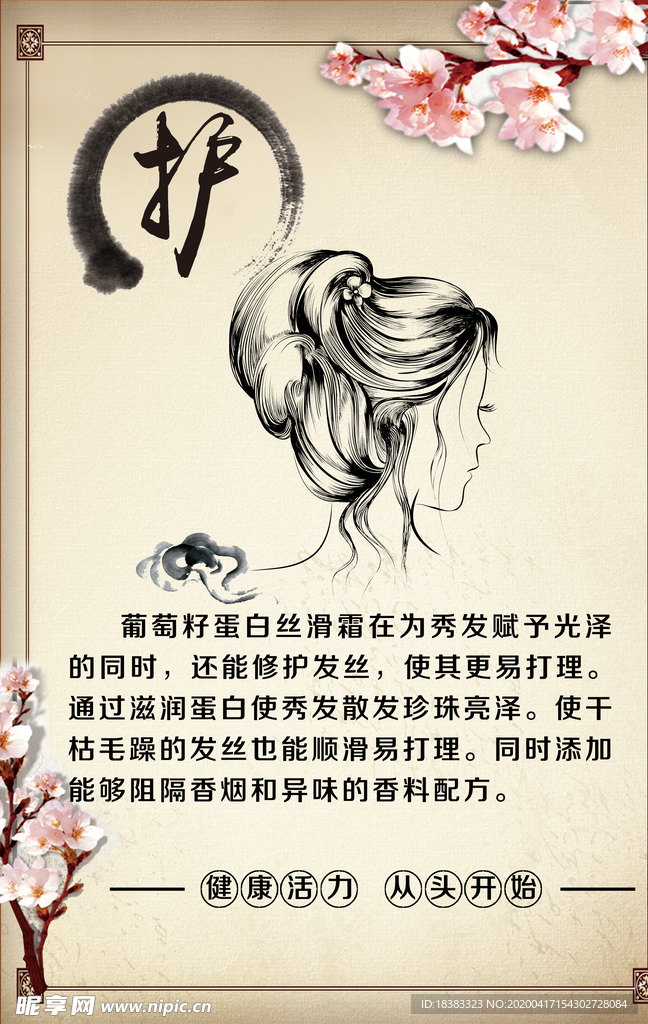 护 古典边框  美女线描