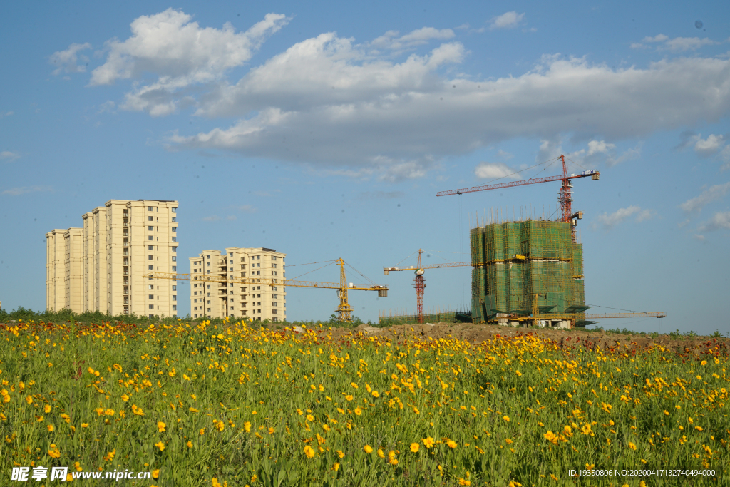 住宅楼建筑旁边的花海