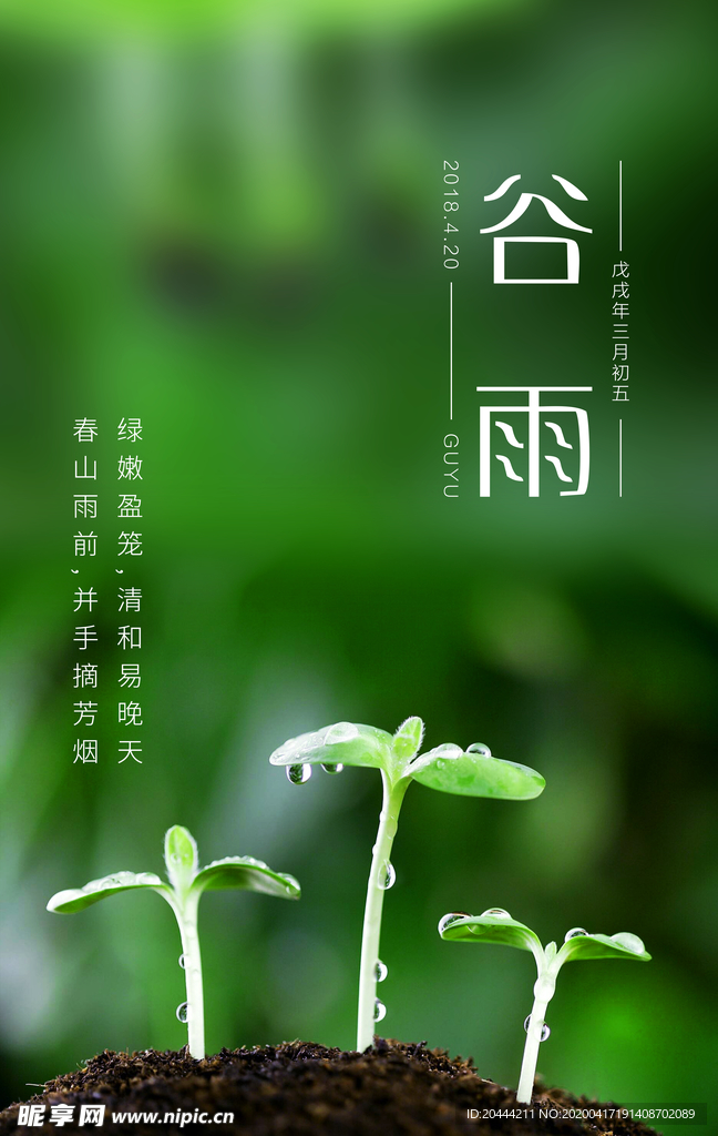 24节气谷雨海报