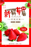 草莓采摘海报