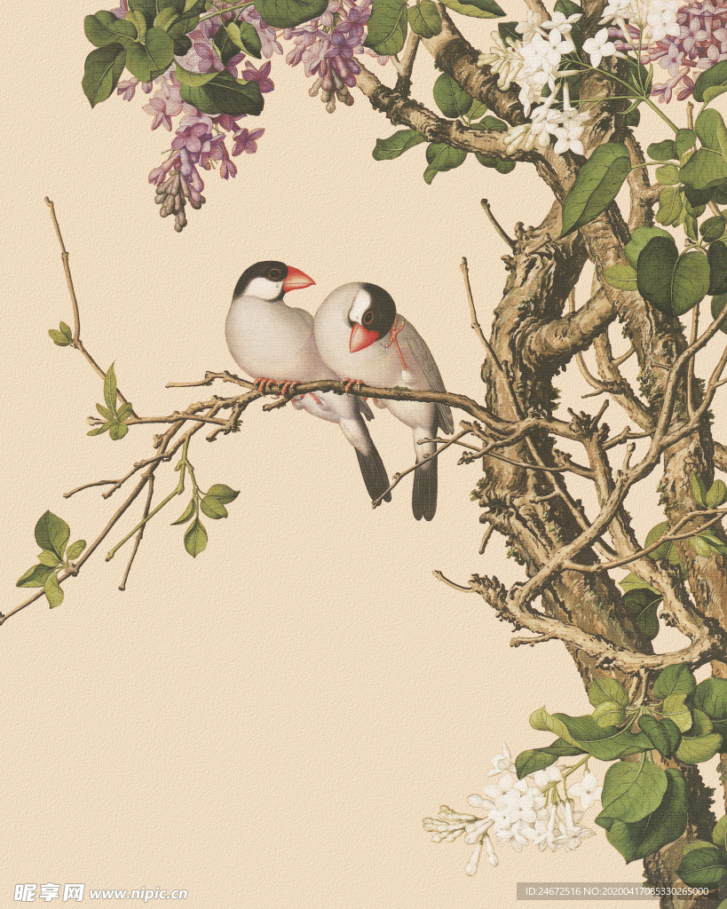 粉色小花 花卉 小鸟