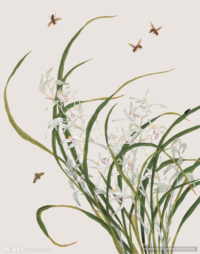 蜜蜂 小花 手绘