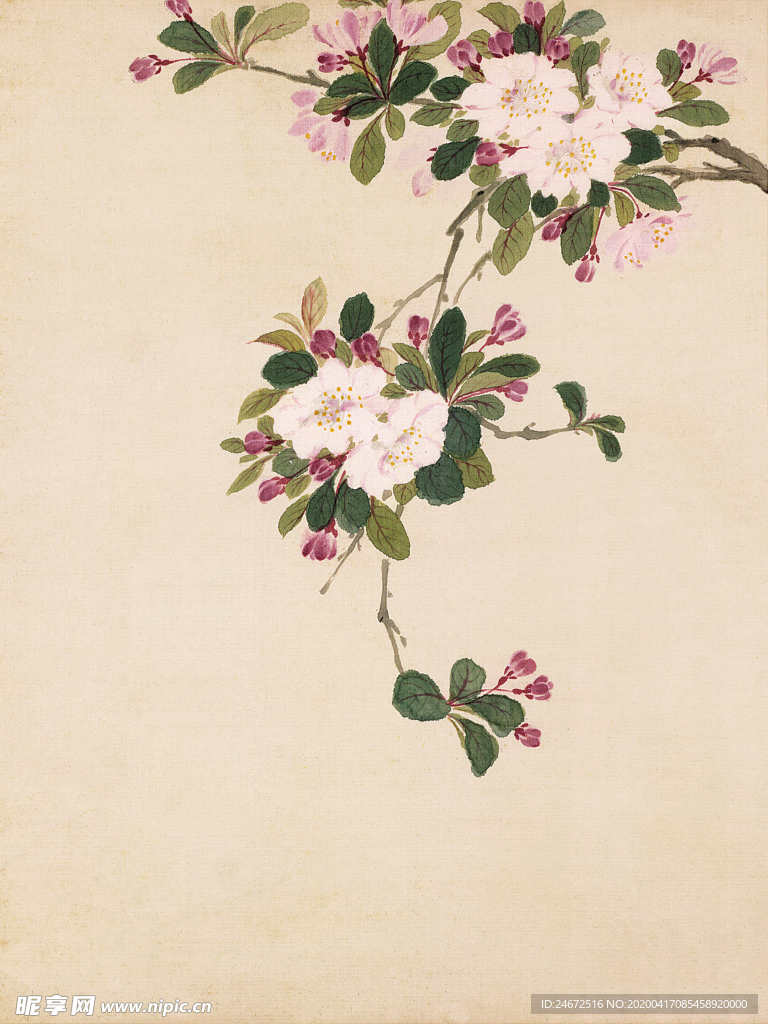 花草工笔画
