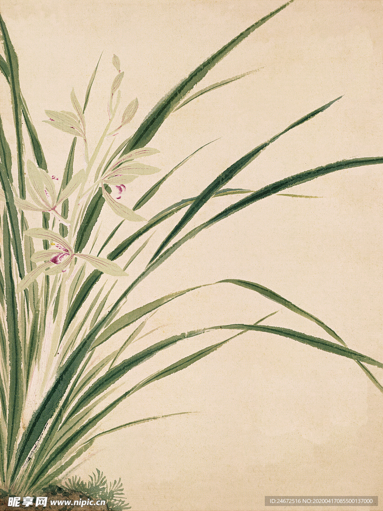 工笔画 水草