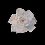 白玫瑰婚礼设计花艺