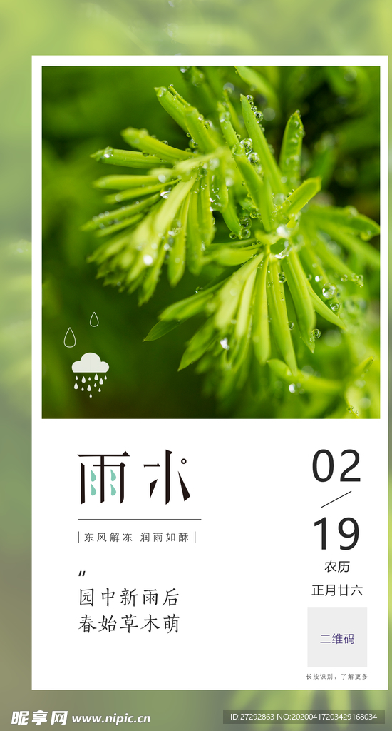 雨水