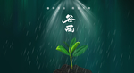 谷雨