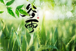 谷雨