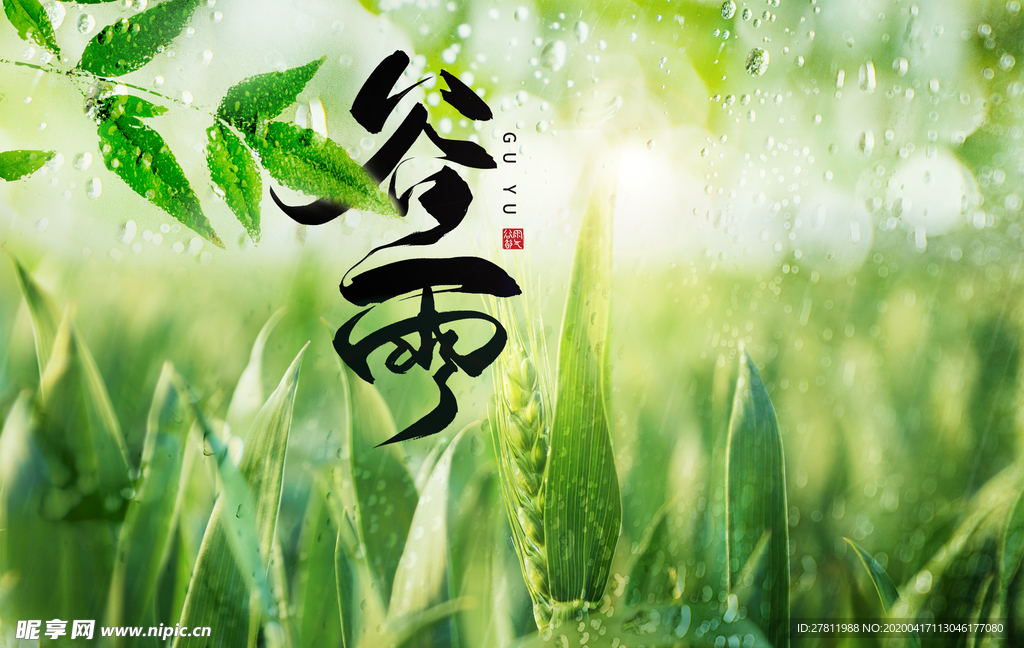 谷雨