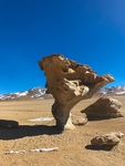 沙漠