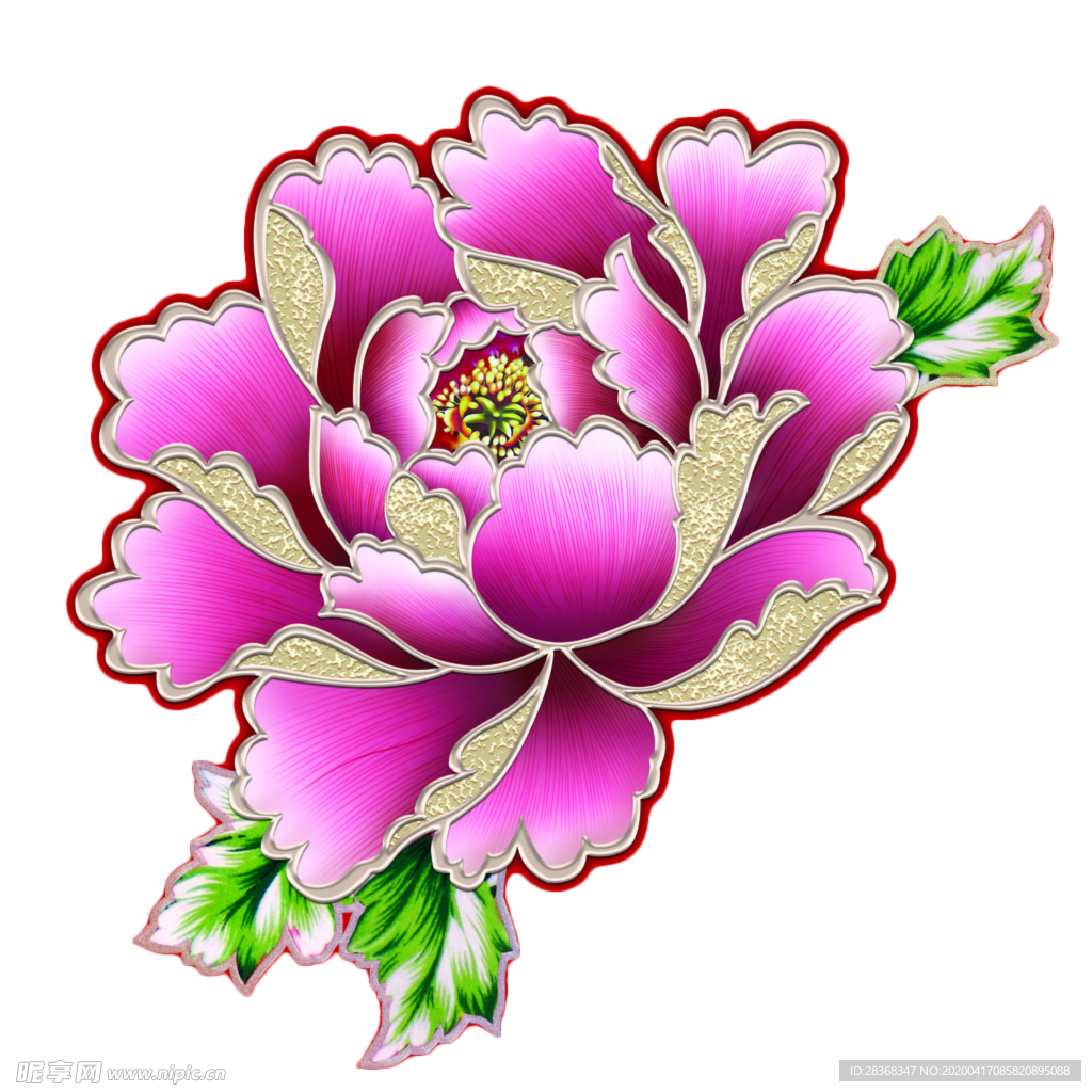 牡丹花