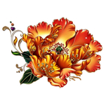 牡丹花