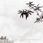 中国风背景 底色 古典背景 复