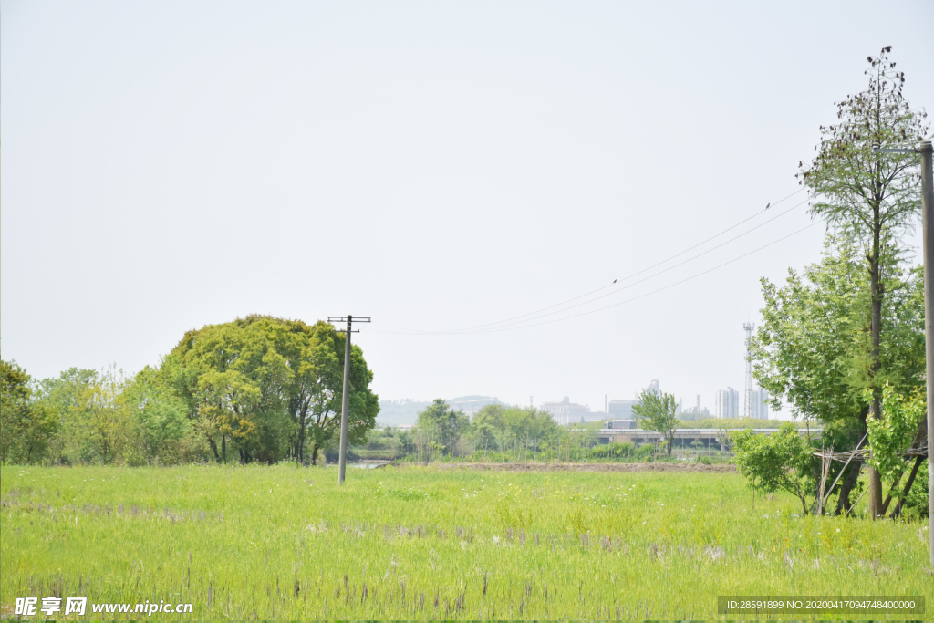 田园 树林 乡村 田野