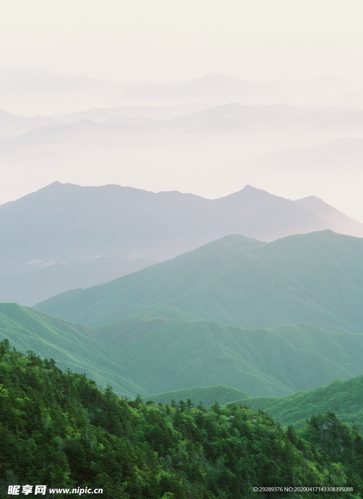 山