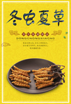 冬虫夏草